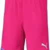 Shorts Puma Cup Short Kids -Footballbekleidungs Geschäft 189344
