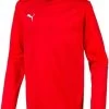 Sweatshirt Puma Liga Training Kids F01 -Footballbekleidungs Geschäft 193273