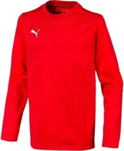 Sweatshirt Puma Liga Training Kids F01