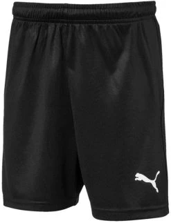 Shorts Puma Liga Core Kids
