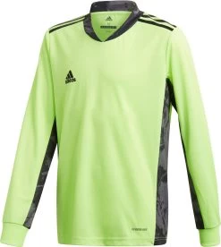 Langarmtrikot Adidas ADIPRO 20 GK JSY LS Y