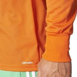 Langarmtrikot Adidas ASSITA 17 GK -Footballbekleidungs Geschäft adidas assita 17 gk 141604 az5400 960