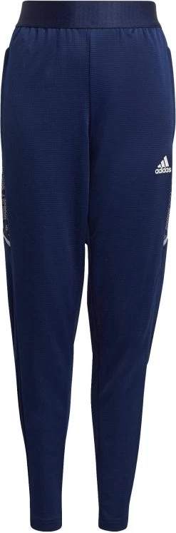 Hose Adidas CON21 TR PNT Y