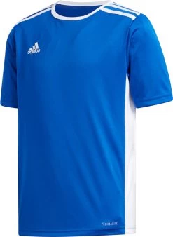 Trikot Adidas ENTRADA 18 JSY Y