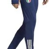 Hose Adidas FIGC PRO PNT -Footballbekleidungs Geschäft adidas figc pro pnt 600508 hs9846