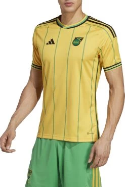 Trikot Adidas JFF H JSY 2023