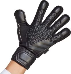 Torwarthandschuhe Adidas PRED GL MTC FS