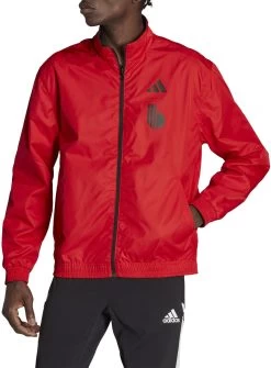 Jacke Adidas RBFA WC ANTHM