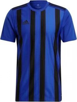 Trikot Adidas STRIPED 21 JSY -Footballbekleidungs Geschäft adidas striped 21 jsy 366974 gv1382 960