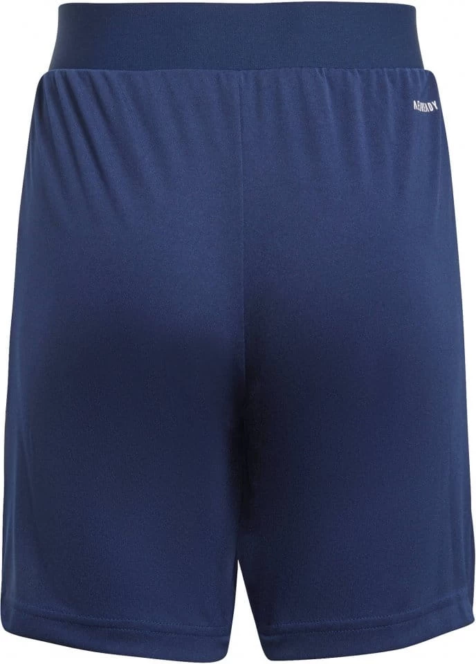 Adidas TIRO21 TR SHORTS Y 4 Adidas TIRO21 TR SHORTS Y – Bild 2