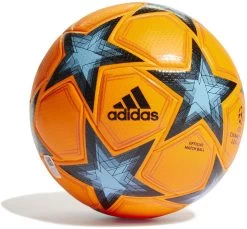 Ball Adidas UCL PRO WTR