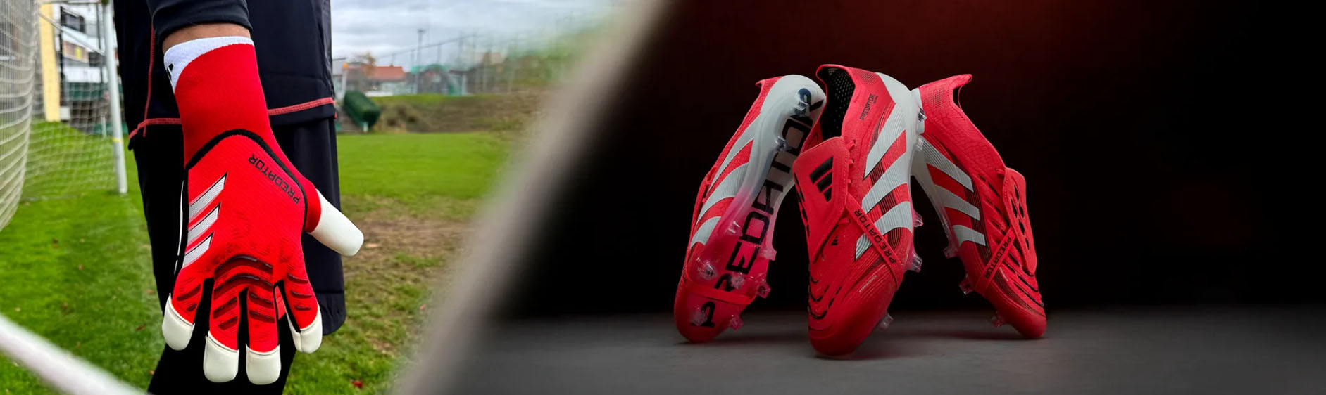 Footballbekleidungs Geschäft -Footballbekleidungs Geschäft cfgfcg