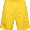 Hummel DBU 22 GK SHORTS KIDS