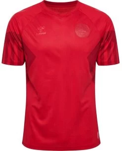 Trikot Hummel DBU 22 HOME JERSEY S/S