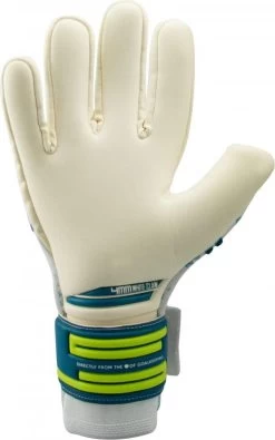 Torwarthandschuhe KEEPERsport Varan6 Champ NC -Footballbekleidungs Geschäft keepersport varan6 champ nc 403756 ks10011 407 960