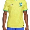 Nike Brasil Stadium 2022/23 -Footballbekleidungs Geschäft nike cbf m nk df stad jsy ss hm 2022 23 501190 dn0680 741
