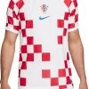 Trikot Nike CRO M NK DF STAD JSY SS HM 2022/23