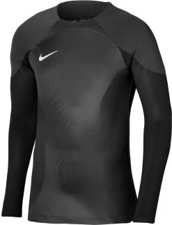 Langarmtrikot Nike Dri-FIT ADV Gardien 4 Goalkeeper LS Kids