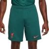 Shorts Nike LFC M NK DF STAD SHORT 3RD 2022/23 -Footballbekleidungs Geschäft nike lfc m nk df stad short 3rd 2022 23 496286 dj7744 375