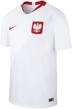 Trikot Nike M NK POL STAD HM 2018