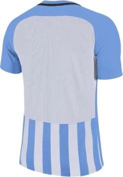 Trikot Nike M NK STRP DVSN III JSY SS -Footballbekleidungs Geschäft nike m nk strp dvsn iii jsy ss 151036 894081 412