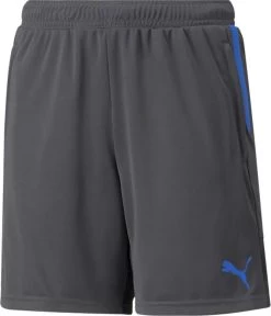 Puma IndividualCUP Shorts Jr