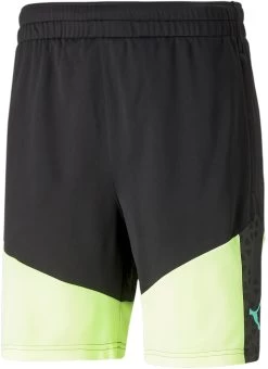 Puma IndividualCUP Training Shorts