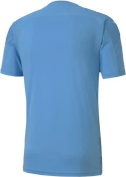 Trikot Puma TeamFINAL 21 Graphic Jersey -Footballbekleidungs Geschäft puma teamfinal 21 graphic jersey 258788 70415019 960