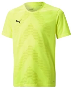 Trikot Puma TeamGLORY Jersey Jr