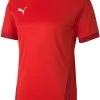 Trikot Puma TeamGOAL 23 JSY