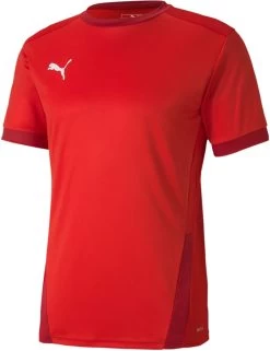 Trikot Puma TeamGOAL 23 JSY