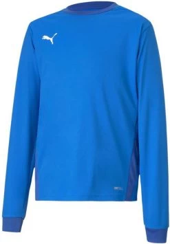 Langarmtrikot Puma TeamGOAL 23 Jersey LS Jr
