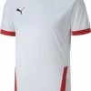 Trikot Puma TeamGOAL 23 JSY -Footballbekleidungs Geschäft puma teamgoal 23 jsy 267848 704171 011