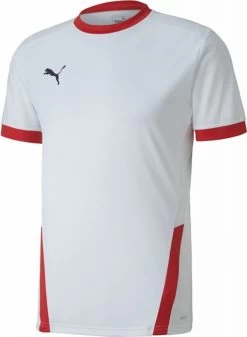 Trikot Puma TeamGOAL 23 JSY