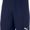Puma TeamGOAL 23 Knit Shorts Jr -Footballbekleidungs Geschäft puma teamgoal 23 knit shorts jr 258817 70426306