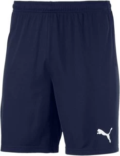 Puma TeamGOAL 23 Knit Shorts Jr