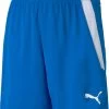 Puma TeamLIGA Shorts Jr -Footballbekleidungs Geschäft puma teamliga shorts jr 378662 70493103