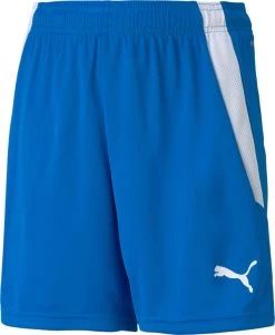 Puma TeamLIGA Shorts Jr