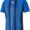 Trikot Puma TeamLIGA Striped Jersey -Footballbekleidungs Geschäft puma teamliga striped jersey 413211 70492002