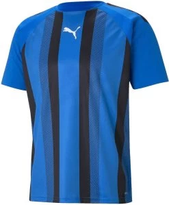 Trikot Puma TeamLIGA Striped Jersey