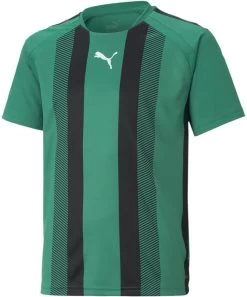Trikot Puma TeamLIGA Striped Jersey Jr