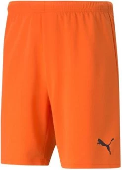 Shorts Puma TeamRISE Short