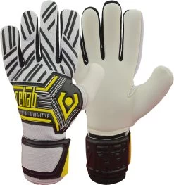 Torwarthandschuhe Rehab Master CG2 NC Goalkeeper Gloves